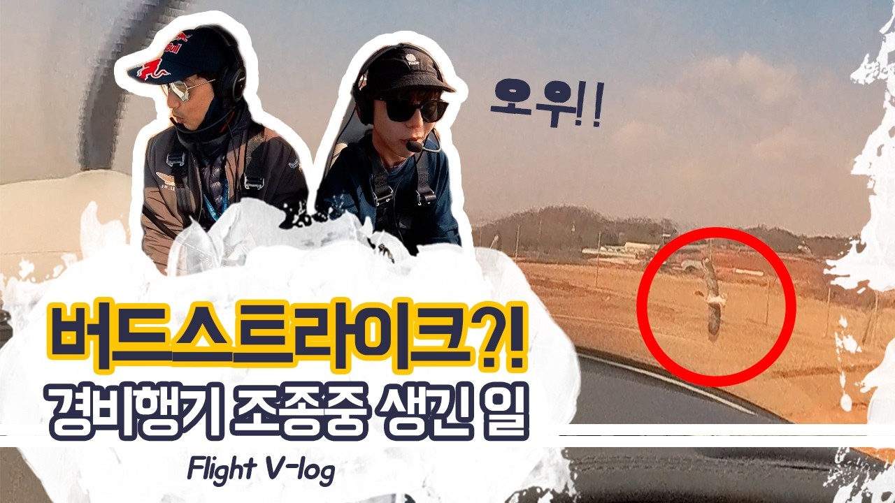 버드 스트라이크?! 경비행기 이륙하다가 생긴 일
