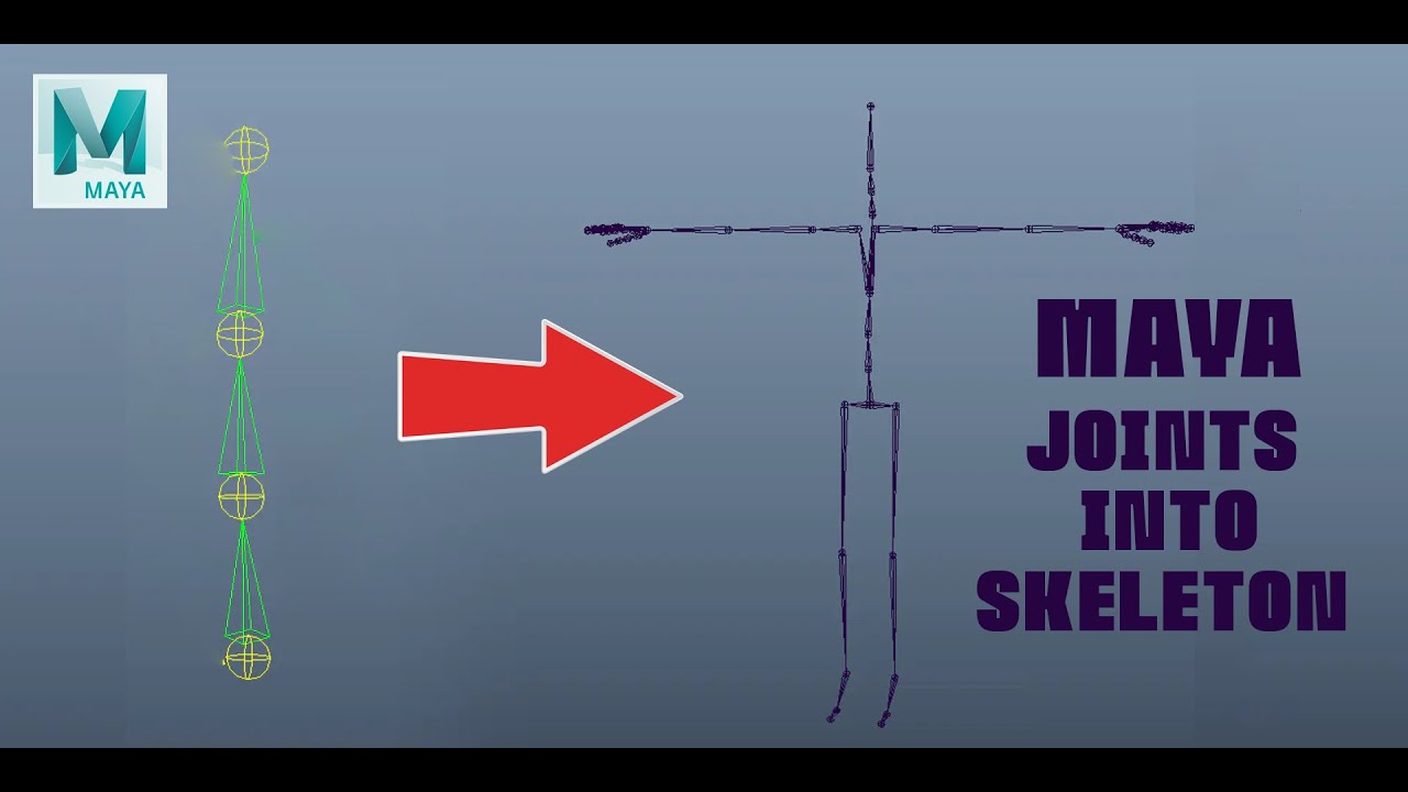 MAYA CHARACTER SKELETON [ RIGGING ]