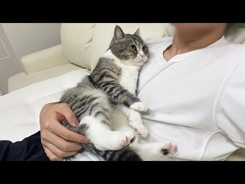 台風が怖すぎて飼い主から離れなくなっちゃった猫がこちらです…笑