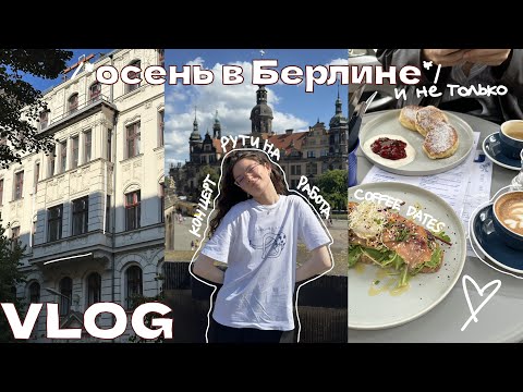 осень в берлине // работа, рутина, книги, поездка в саксонскую швейцарию, концерт и тд // влог