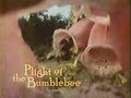 Plight of the Bumblebee (1984)