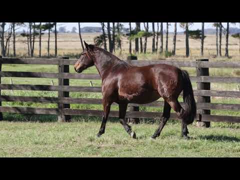 Lote 17   Escultura do Barulho