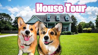 My Dogs Bought A House! (Full Tour)