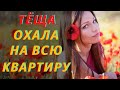 ТЁЩА И ЗЯТЬ - РАЗВЛЕЧЕНИЕ НА СТОЛЕ. Интересные истории про тещу. Случай с тещей. Аудио рассказ