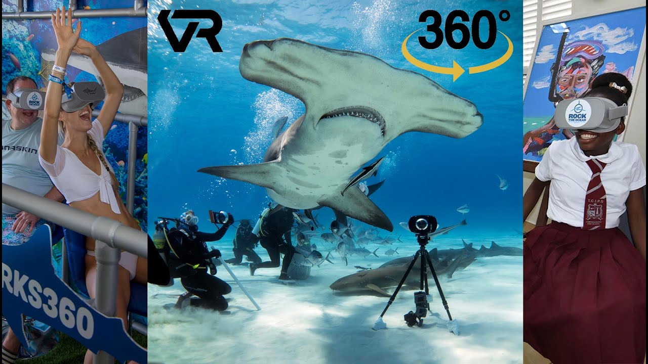 Sharks4kids 360 VR Shark Dive YouTube