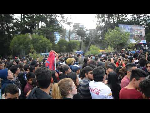 VAQ 2018    Guardarraya Parte 13