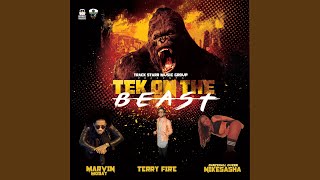 Tek on the Beast (feat. Terry Fire &amp; Dhq Nickeisha)