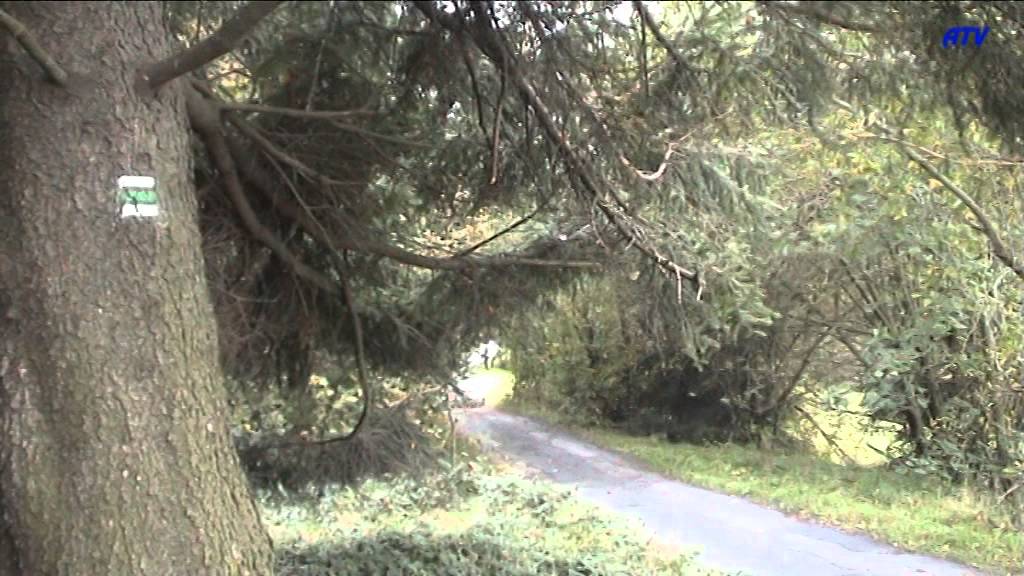 Test Fabia R5 atv ewrc