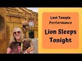 Lion Sleeps Tonight - Pop-up Cover - Lost Temple - Road Trip