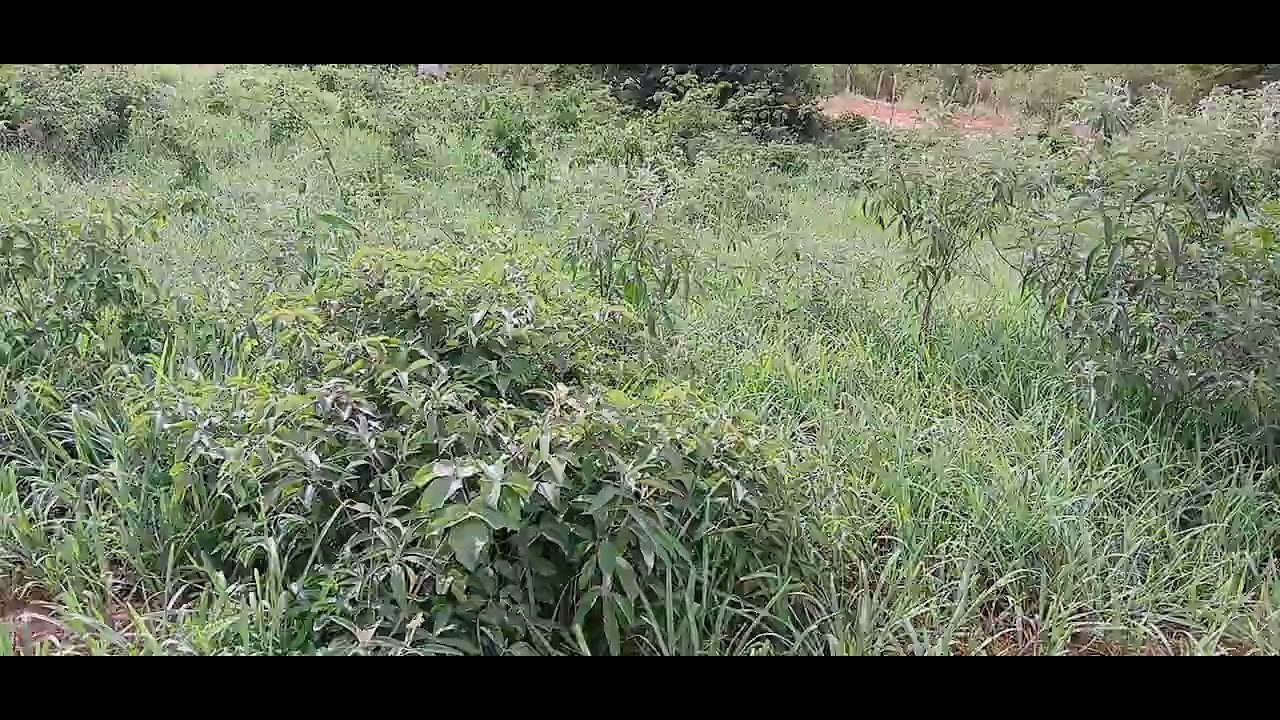 7 de janeiro de 2026