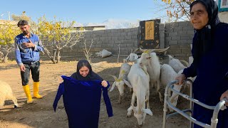 Download Lagu **Making Hearts Happy: From Sheep to Traditional Clothing** MP3