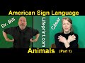 Animal Signs (01) American Sign Language (ASL) Bill Vicars with Cäsar Jacobson (Lifeprint.com)