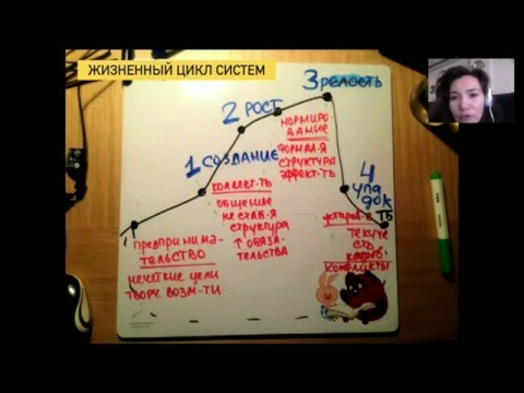 Видео: Какие этапы жизненного цикла ресторана?