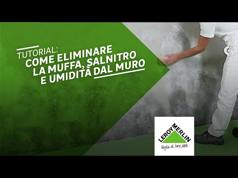 Come eliminare la muffa, salnitro e umidità dal muro - Tutorial Leroy Merlin