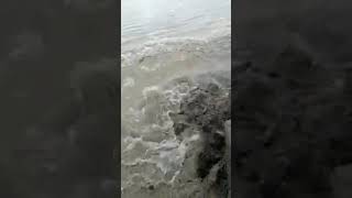 VID 20181014 WA0009
