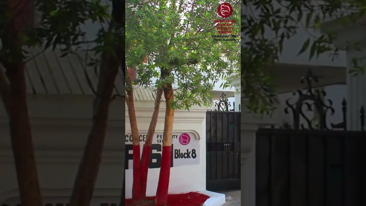 IVF Success Story | Australian Concept Fertility Centre 