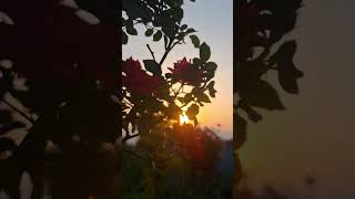 Chasing the light, find the peace ✌️. #sukoon #sunrise #hills