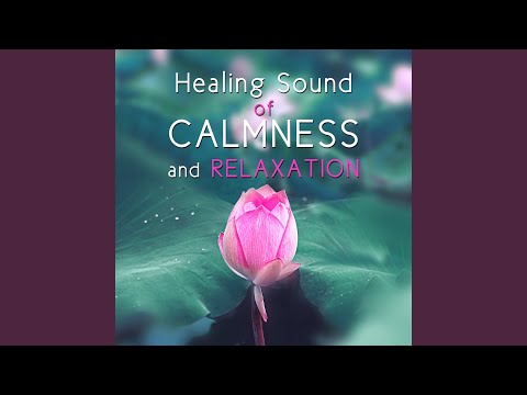 Twinkling Stars: Music for Meditation