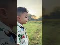 Mencari kangkung dengan ayah #alam #sawah #youtubeshorts #senja