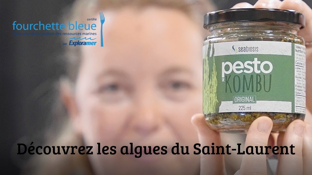 Comment cuisiner les algues du Saint-Laurent