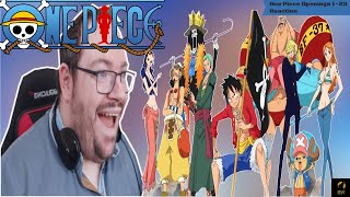 ONE PIECE AMV SURVIVOR REACTION/ AMV Reaction / Wow It seems Luffy goes through a lot