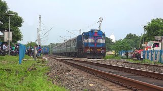 Daily Running 55749/New Jalpaiguri-Haldibari Passenger Train || North East Frontier Railway || India