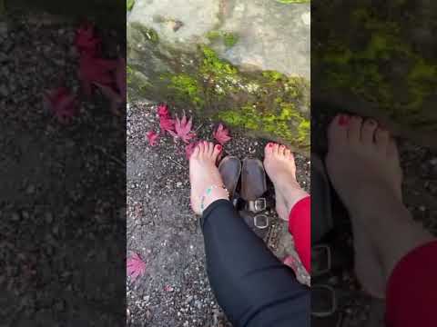 Feet up on moss rocks and red leaves ❤️