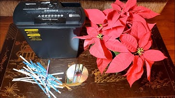 Amazon Basics 8 Sheet Strip Cut Paper Shredder Review | Also Shreds Credit Cards & DVDs!