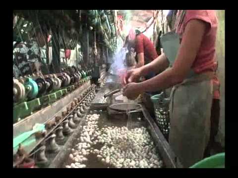 silk Industry
