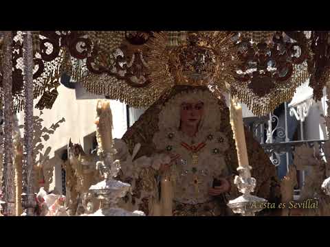 Real, Ilustre y Fervorosa Hermandad y Cofradía de Nazarenos de Nuestra Señora del Santo Rosario, Nuestro Padre Jesús de la Sentencia y María Santísima de la Esperanza Macarena