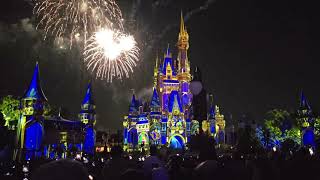 Lacy Watching the Disney World Firework Show