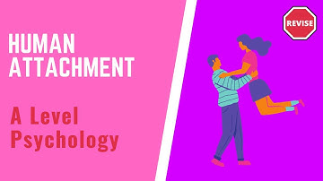 A Level Psychology - Human Attachment
