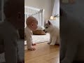 Baby Has The Cutest Conversation With A Puppy Adorable Baby And Dog Moment PuppyTalk ViralShort Baby Has The Cutest Conversation With A Puppy Adorable Baby And Dog Moment PuppyTalk ViralShort