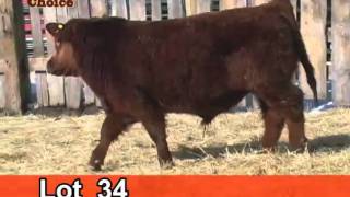 Lot 34 Cattleman's Choice 2011
