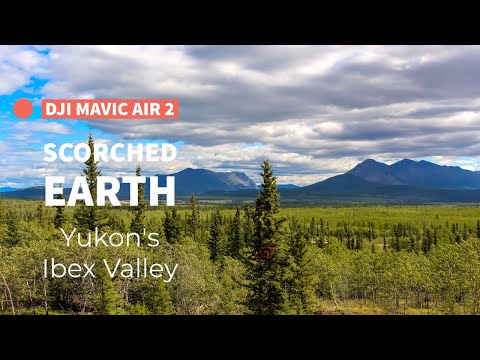 DJI Mavic Air