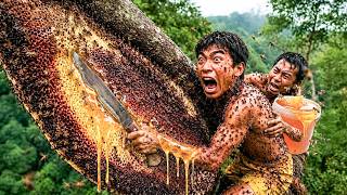 The Most Dangerous Type of Bee. The Honey Gatherer was Stung Many Times  Then this happened