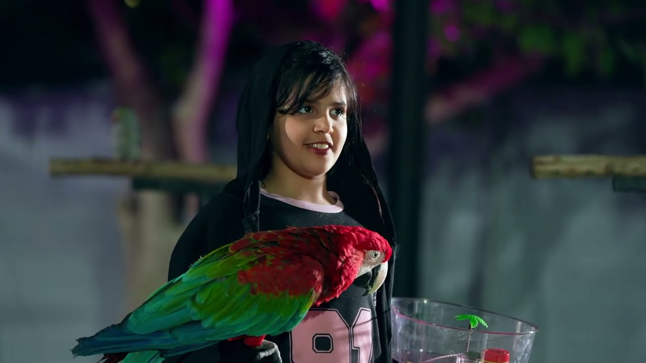 منطقة الحيوانات في مهرجان #ليالي_كفو 2026 تستقطب الأطفال للتعرف المنطقة. 