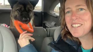 Christmas Road Trip, My American Akita and Montana Days by Life Wild Open ® 232 views 4 months ago 6 minutes, 43 seconds