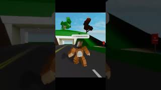 Roblox Heceleme Sorunu
