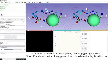 SlicerMorph GPA Basic visualization