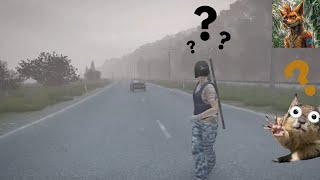Did i hit something DayZ Roadkill