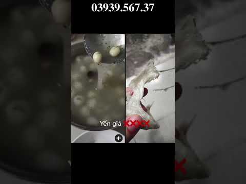 Video Góc Cảnh Báo, Yến giả xuất hiện quá nhiều trên thị... - youtube