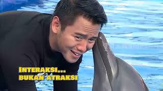 Berinteraksi Dengan Lumba-Lumba, Bukan Atraksi TAU GAK SIH (09/06/20)