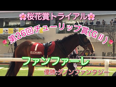 【桜花賞トライアル】第26回チューリップ賞(G2)ファンファーレ(優勝:ダノンファンタジー)