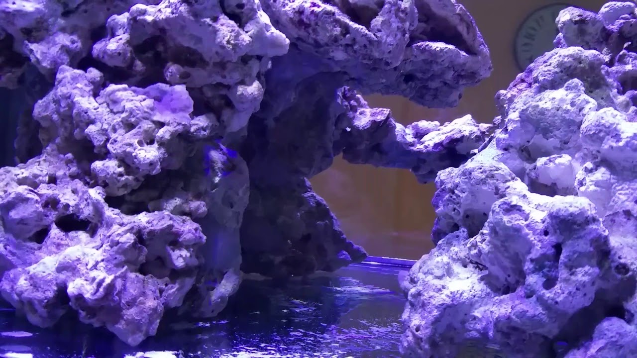 red sea peninsula red sea peninsula