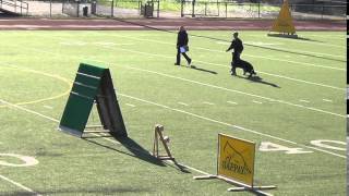 2015 AWDF David Greene and Tommy IPO III Obedience