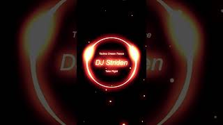Dj Striden  Take Flight final Drop  edm techno