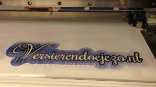 Roland SG print & cut Versierendoejezo.nl screenshot 1