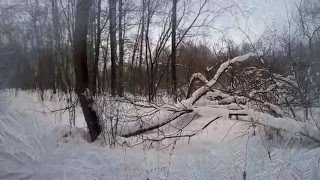 Белый Снег Попутная