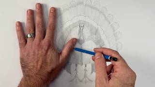 Draw a realistic HAND-OUTLINE Turkey! (Beginner friendly)